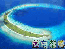 蓝岛部落